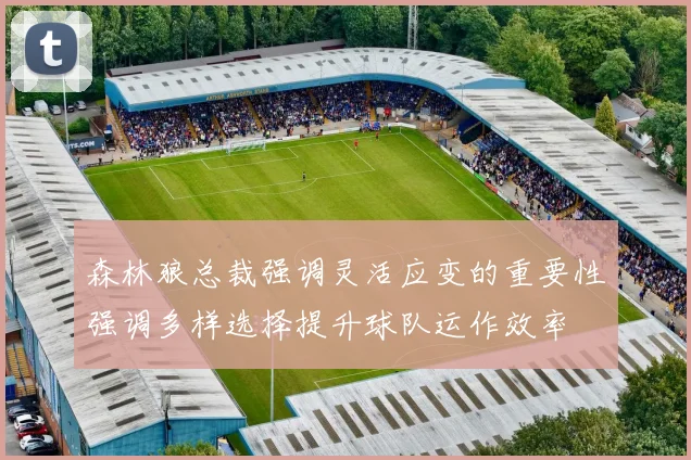 森林狼总裁强调灵活应变的重要性强调多样选择提升球队运作效率