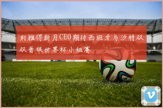 利雅得新月CEO期待西班牙与沙特双双晋级世界杯小组赛